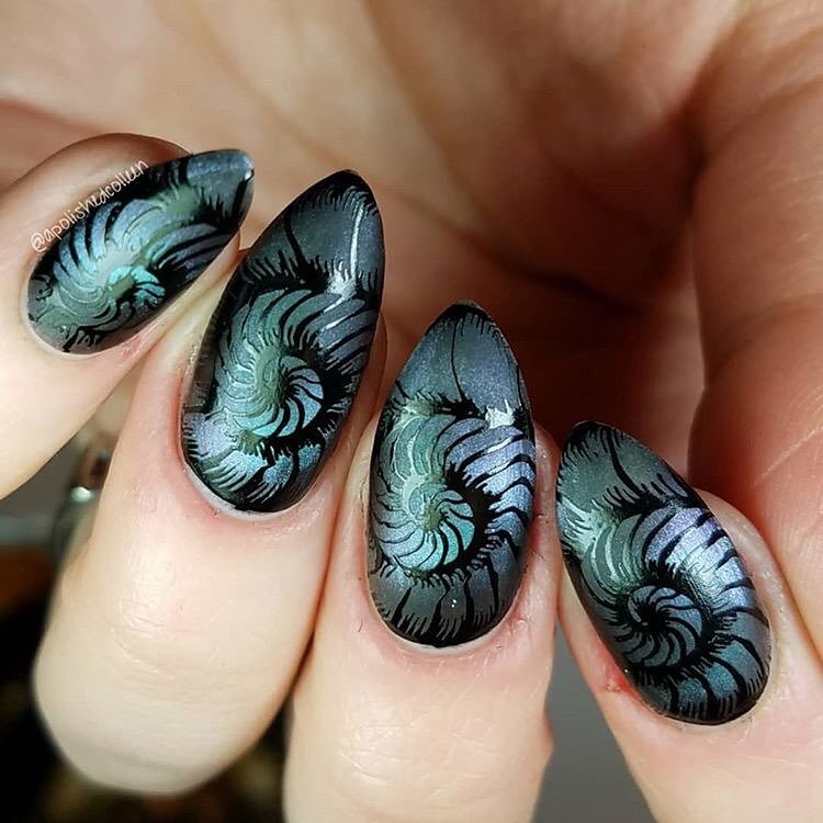 Whats Up Nails - Stamping Plate - Animalistic Nature