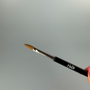 Halo Elite Crimped Brush Size 12