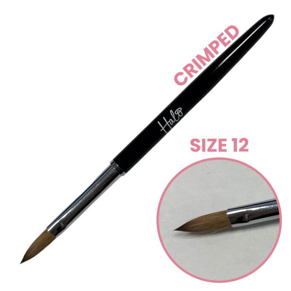 Halo Elite Crimped Brush Size 12