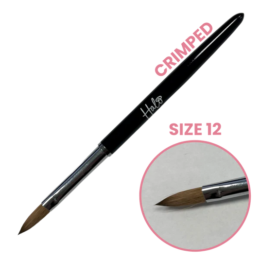 Halo Elite Crimped Brush Size 12