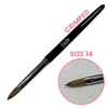 Halo Elite Crimped Brush Size 14