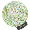 Halo Create - Multi Flake Glitter 0.5g
