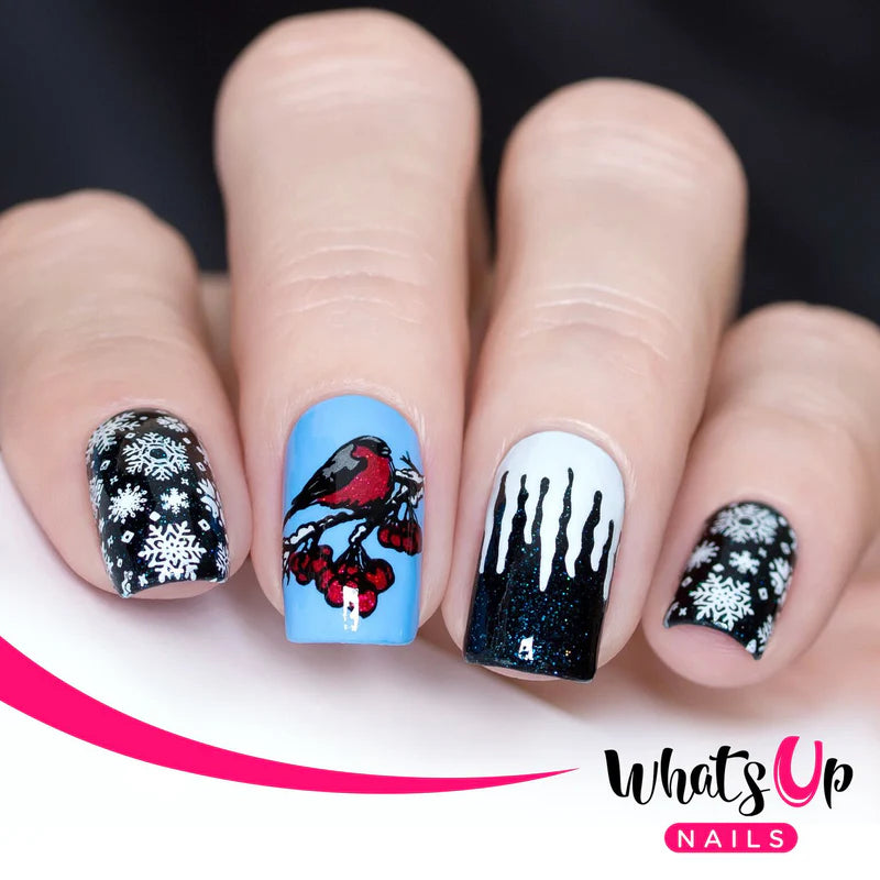 Whats Up Nails - Stamping Plate - Icy Wonderland