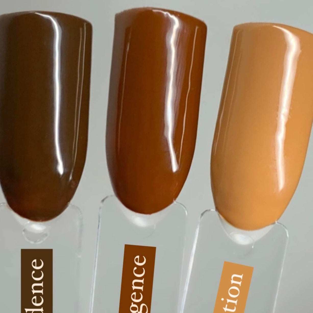 Halo Gel Polish Chocolate Box Collection