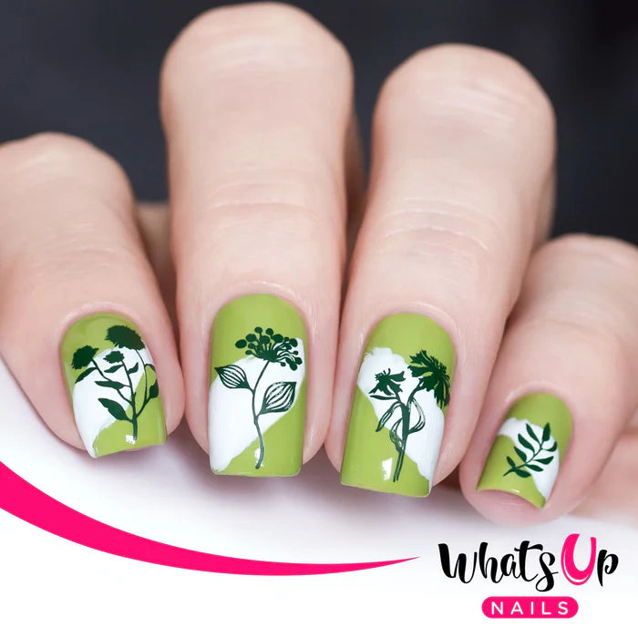 Whats Up Nails - Stamping Plate - Floralize Your Texture