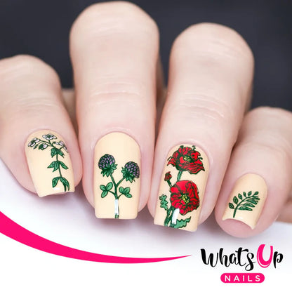 Whats Up Nails - Stamping Plate - Floralize Your Texture
