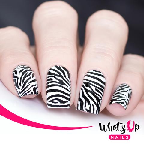 Whats Up Nails - Stamping Plate - Animalistic Nature