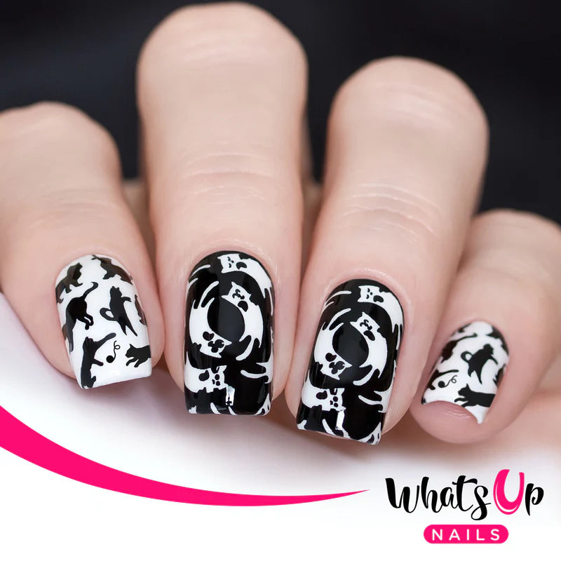 Whats Up Nails - Stamping Plate - Everyday is Caturday