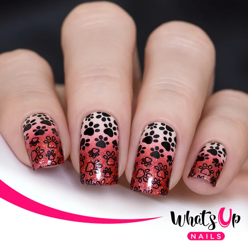 Whats Up Nails - Stamping Plate - Everyday is Caturday