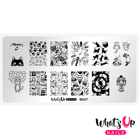 Whats Up Nails - Stamping Plate - Everyday is Caturday