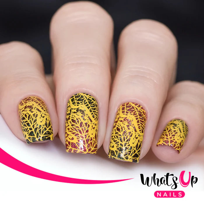 Whats Up Nails - Stamping Plate - That's Pretty Autumn!