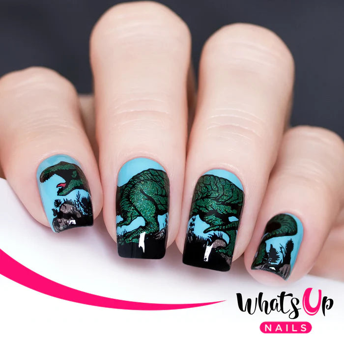 Whats Up Nails - Stamping Plate - Stampasaurus