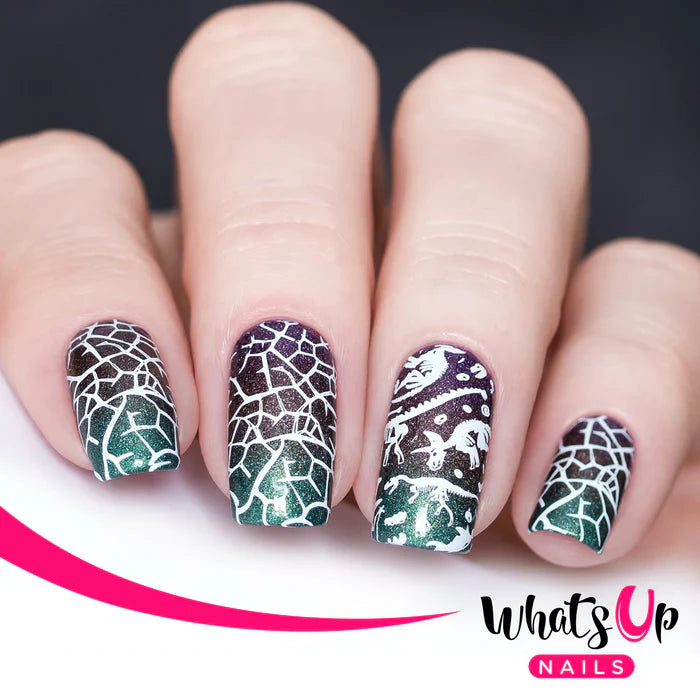 Whats Up Nails - Stamping Plate - Stampasaurus