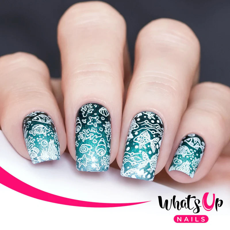 Whats Up Nails - Stamping Plate - Coasting to the Sea