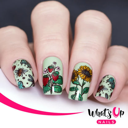 Whats Up Nails - Stamping Plate - Summer in the Countryside