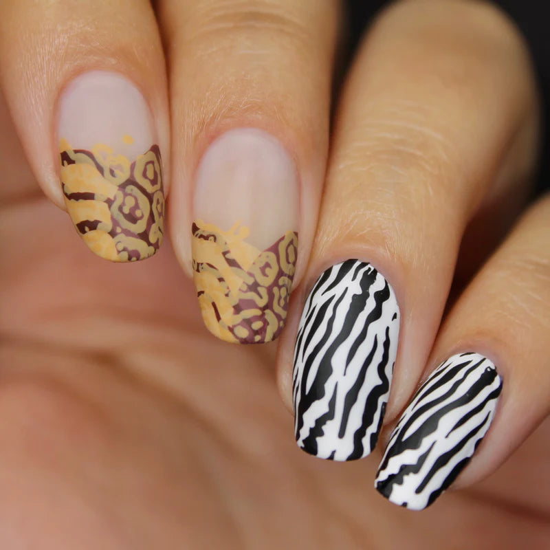 Whats Up Nails - Stamping Plate - Zoology Trip